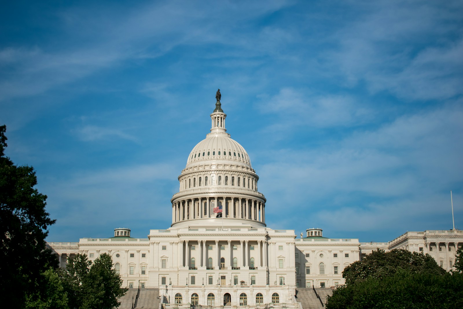 Government software development for public service, revenue, records, and operations